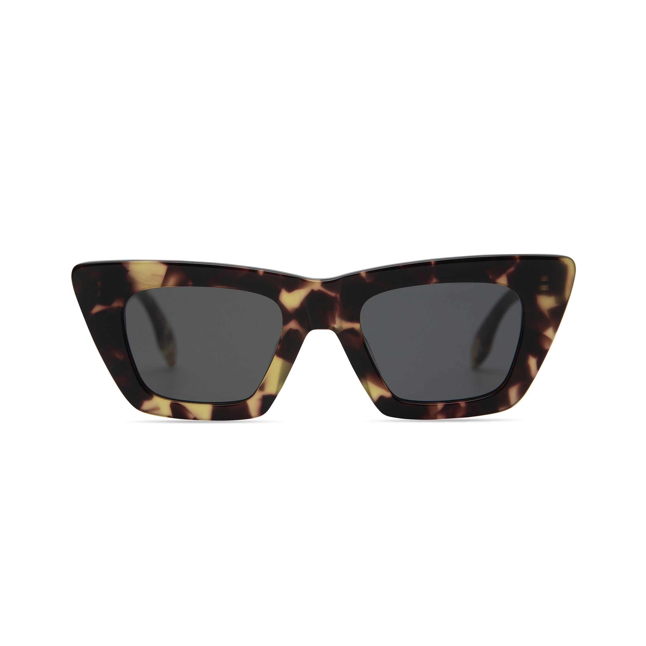 Lori in Leopard Tortoise