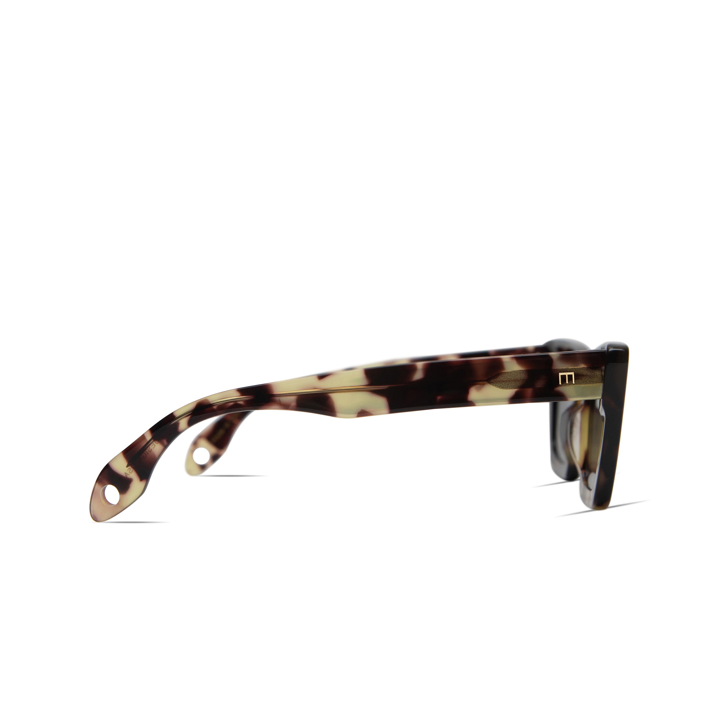 Lori in Leopard Tortoise