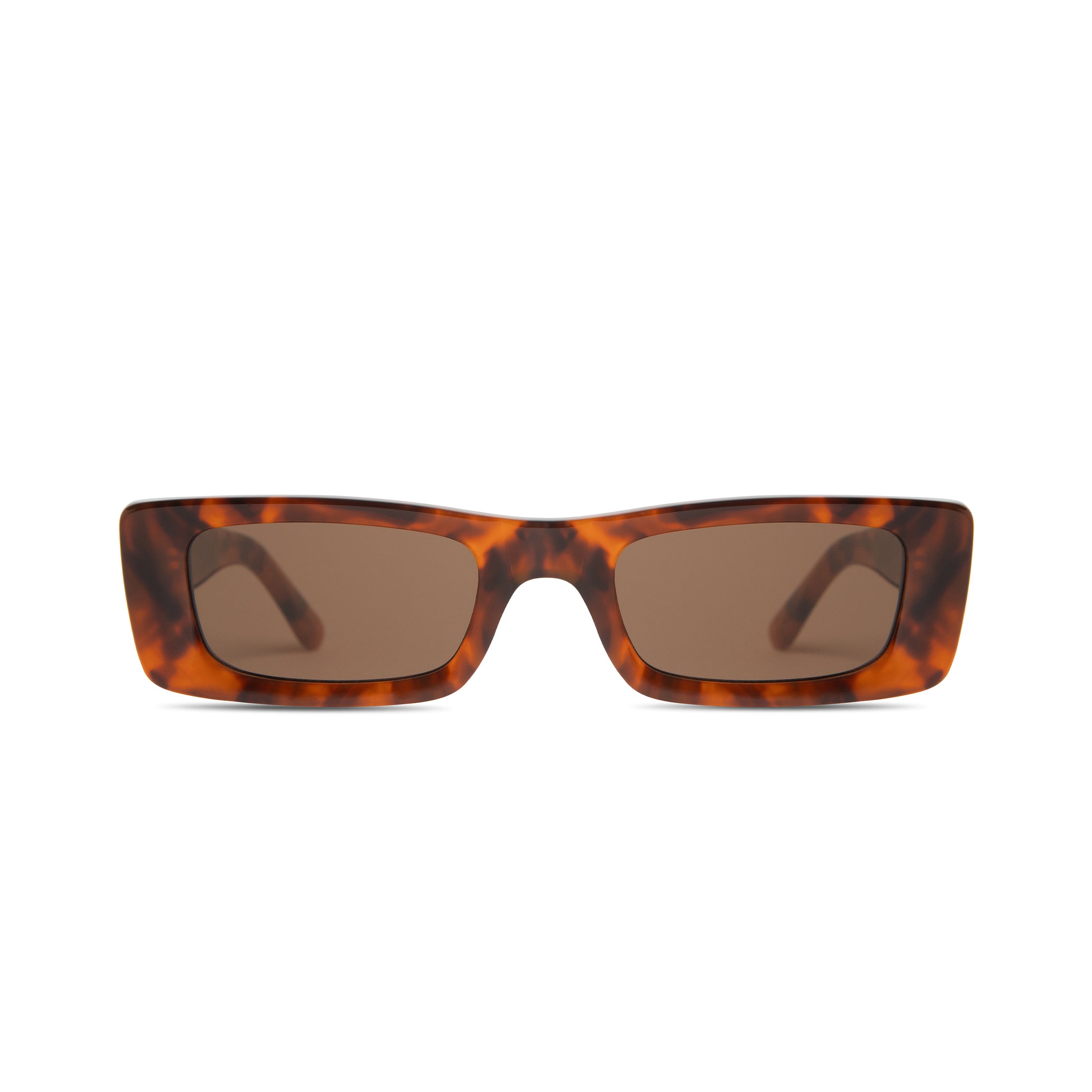 Flynn In Brown Tortoise