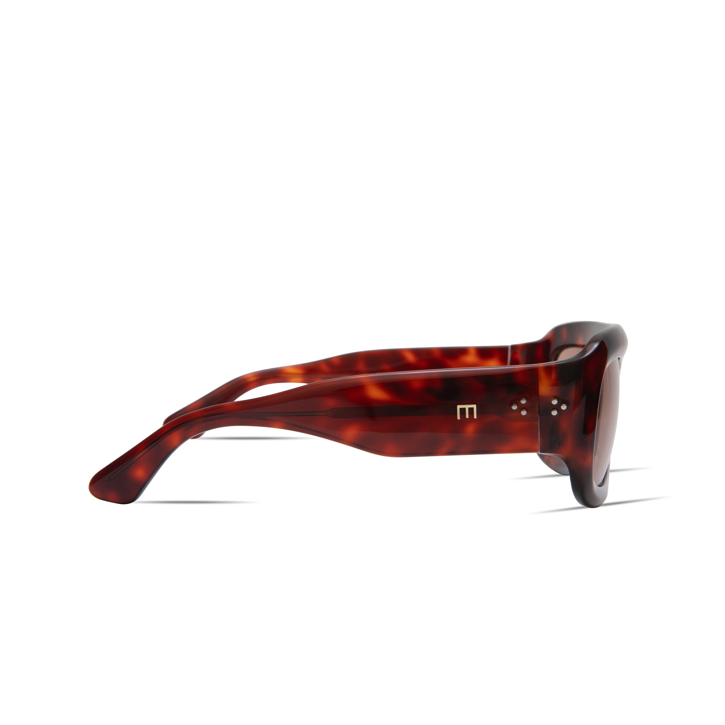 Aries in Red Tortoise
